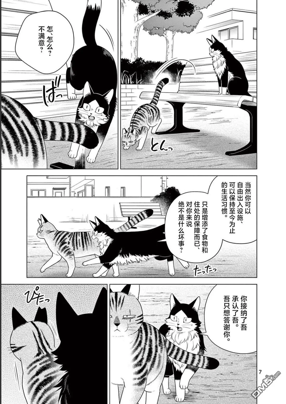 第29话 第7页