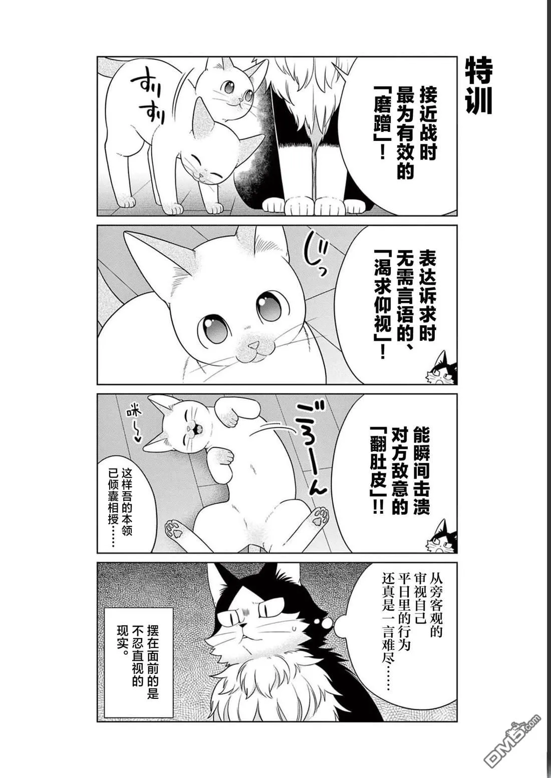 第29话 第16页