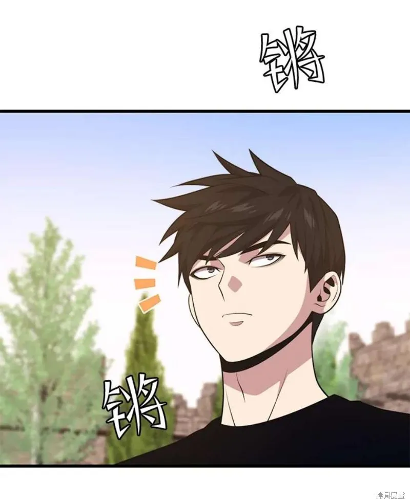 68.访问邀请 第48页
