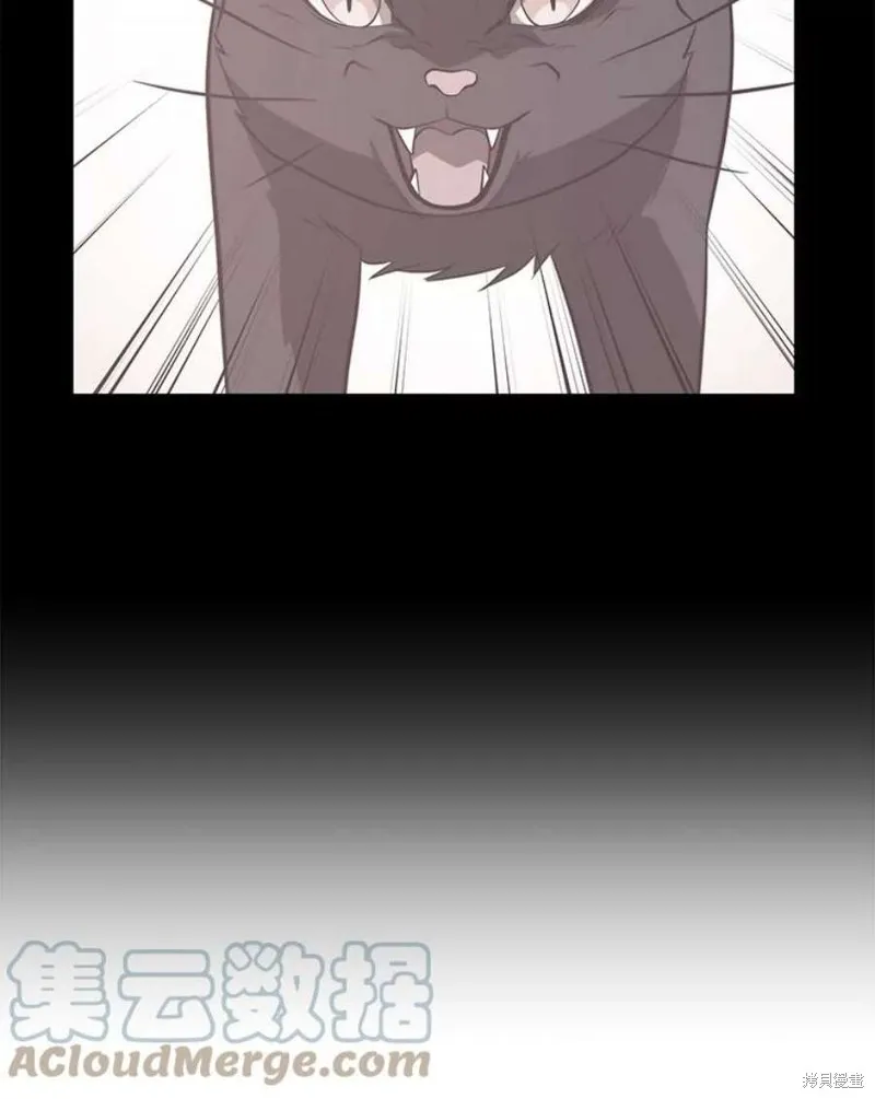 第64话 进入旷野 第133页