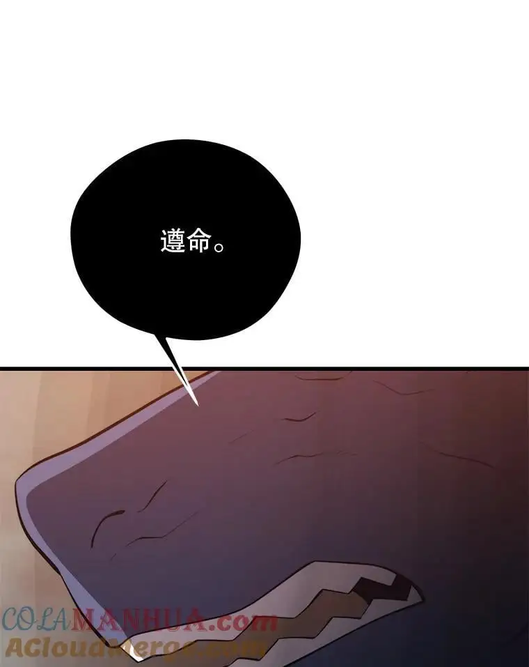 92.代码 第13页