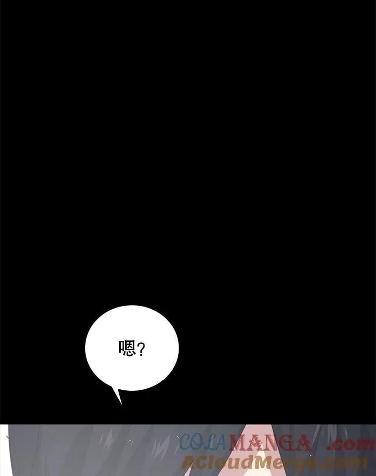 111.“代码”的真相 第13页
