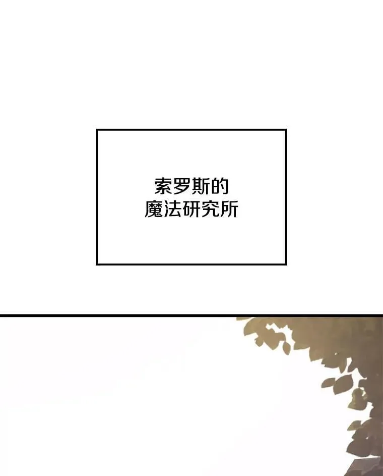 113.即将满级 第42页