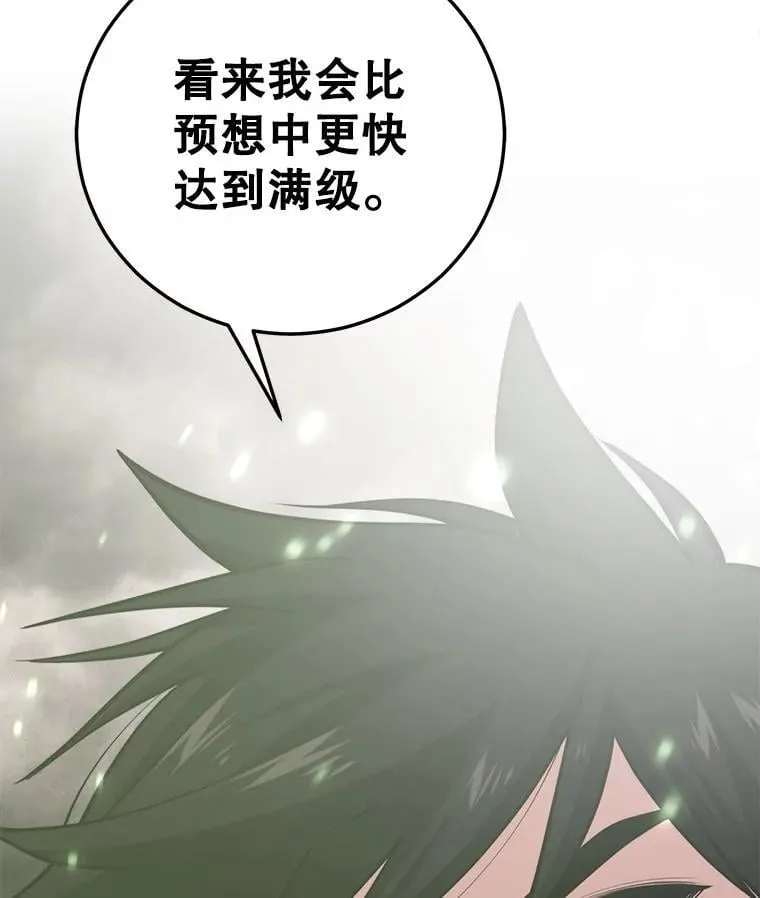113.即将满级 第132页