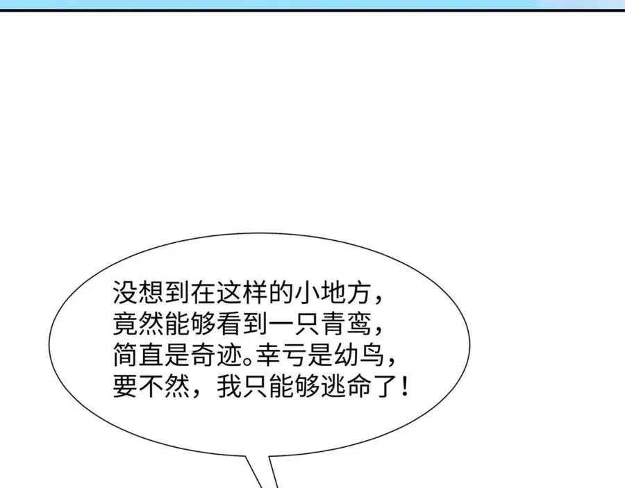 第41话 美女救英雄 第11页