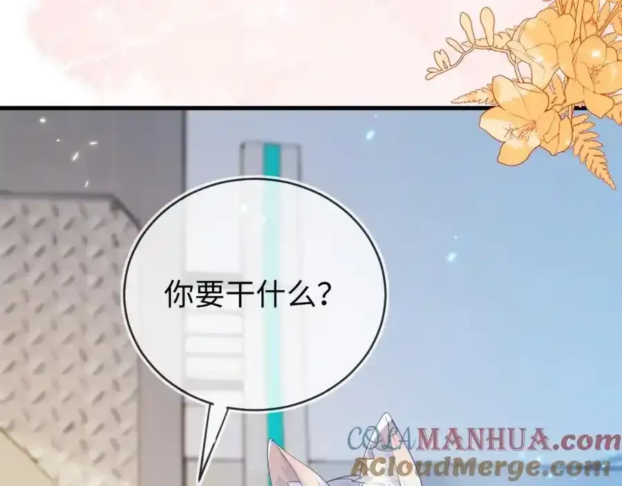 我们离婚吧 第17页