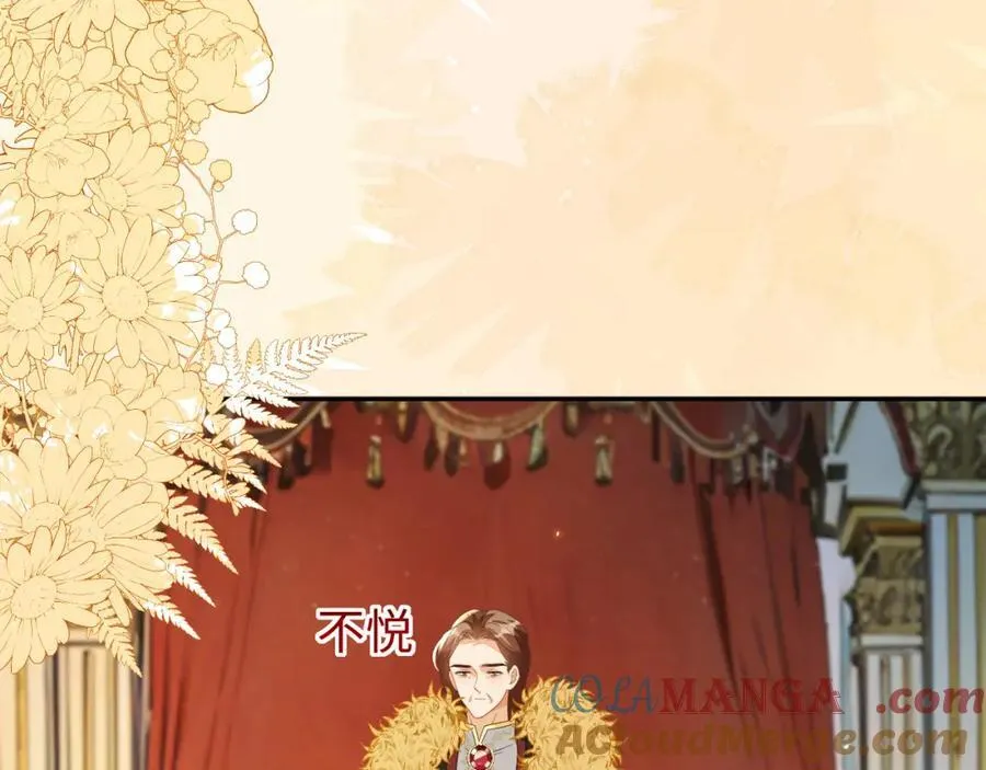 他的目的是什么？ 第117页