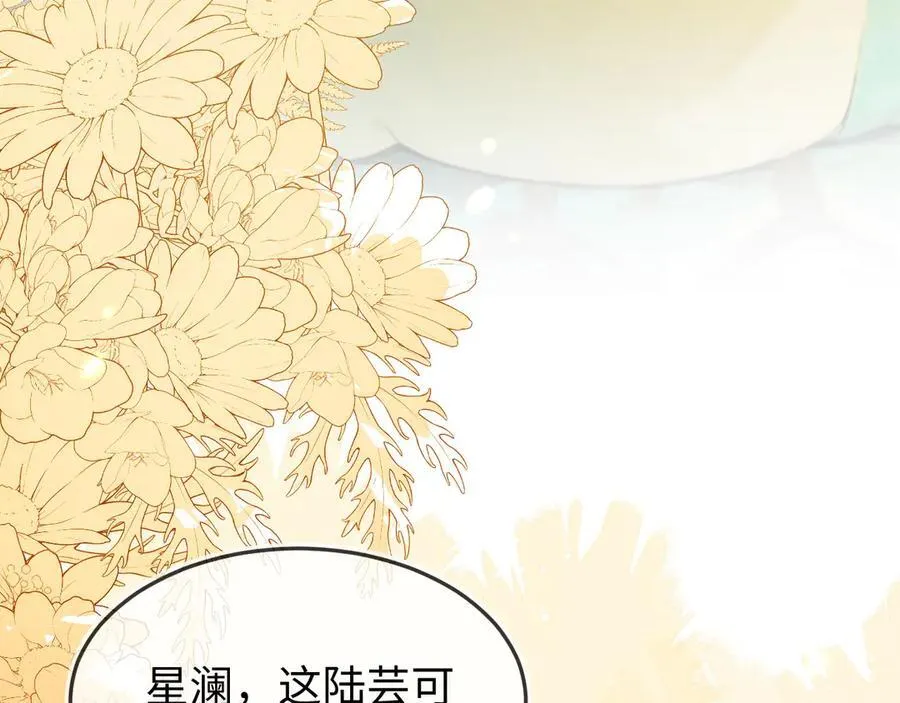 陆芸的身份 第60页