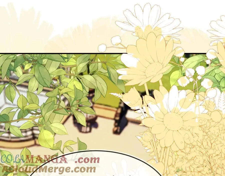 陆芸的身份 第105页