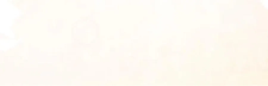 陆芸的身份 第172页