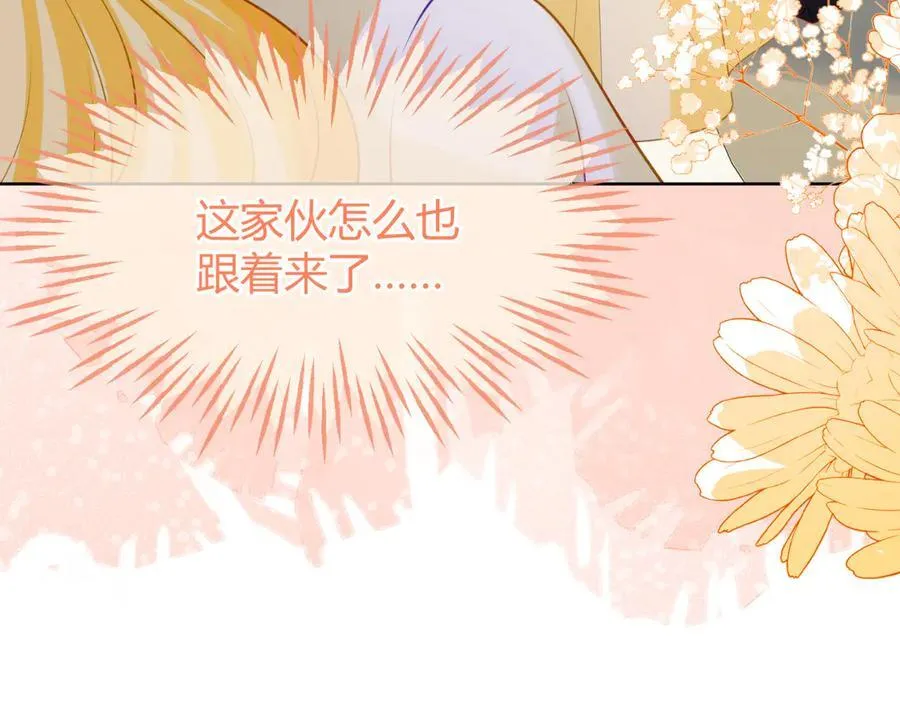 安妮的匹配对象 第84页