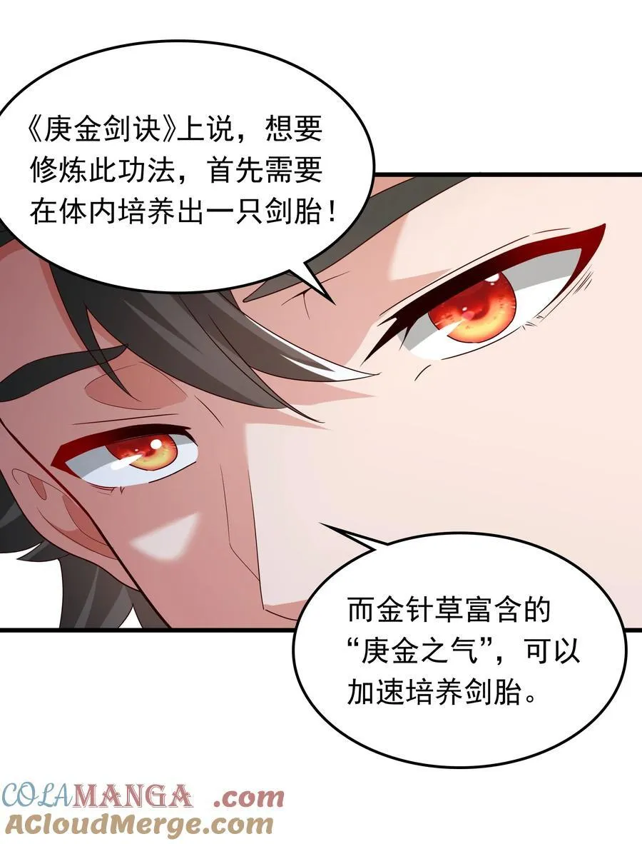 71 剑胎！ 第15页
