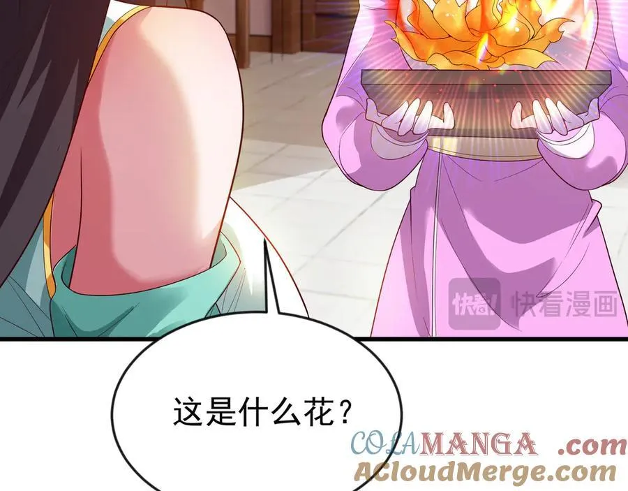 87 价值上亿的灵药 第70页