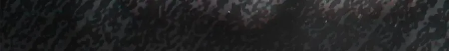 76 白初薇就是白楚 第69页