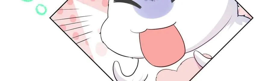 89 白初薇当主播 第19页