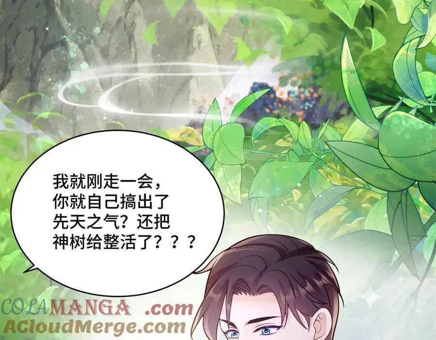 114 现代人玩的真花 第4页