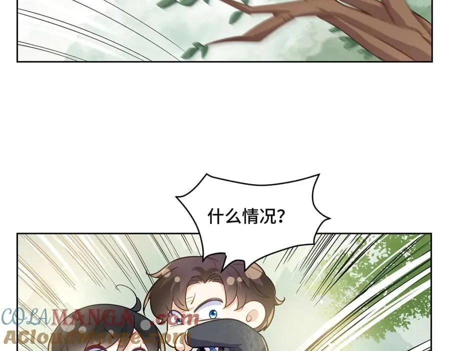 114 现代人玩的真花 第43页