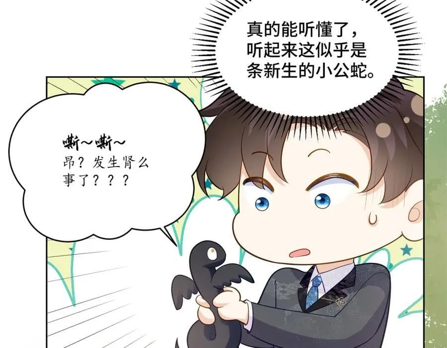 114 现代人玩的真花 第65页