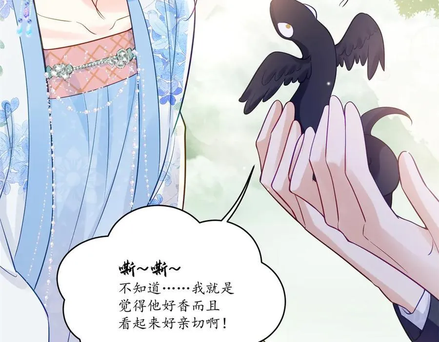 114 现代人玩的真花 第68页
