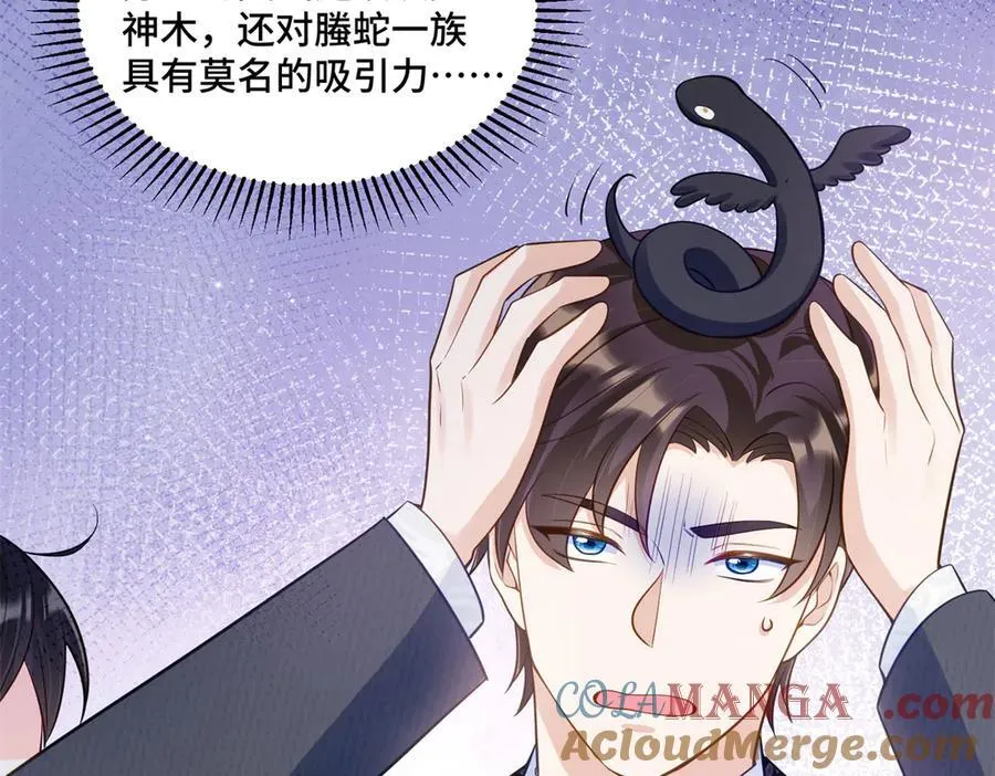 114 现代人玩的真花 第73页