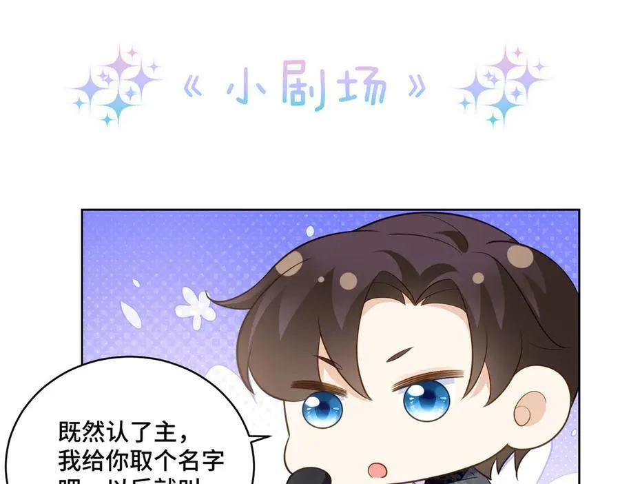 114 现代人玩的真花 第81页