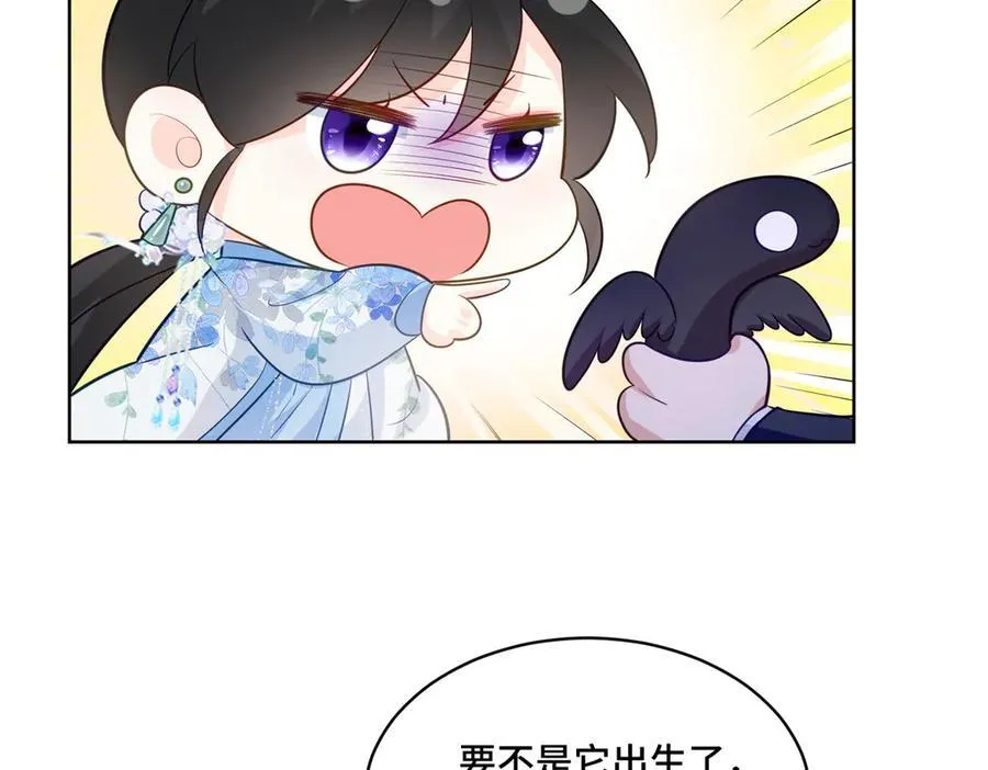 114 现代人玩的真花 第84页