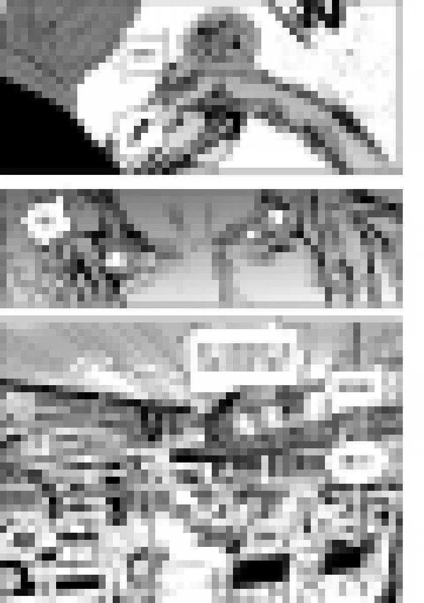 第134话 真正的目标 第13页