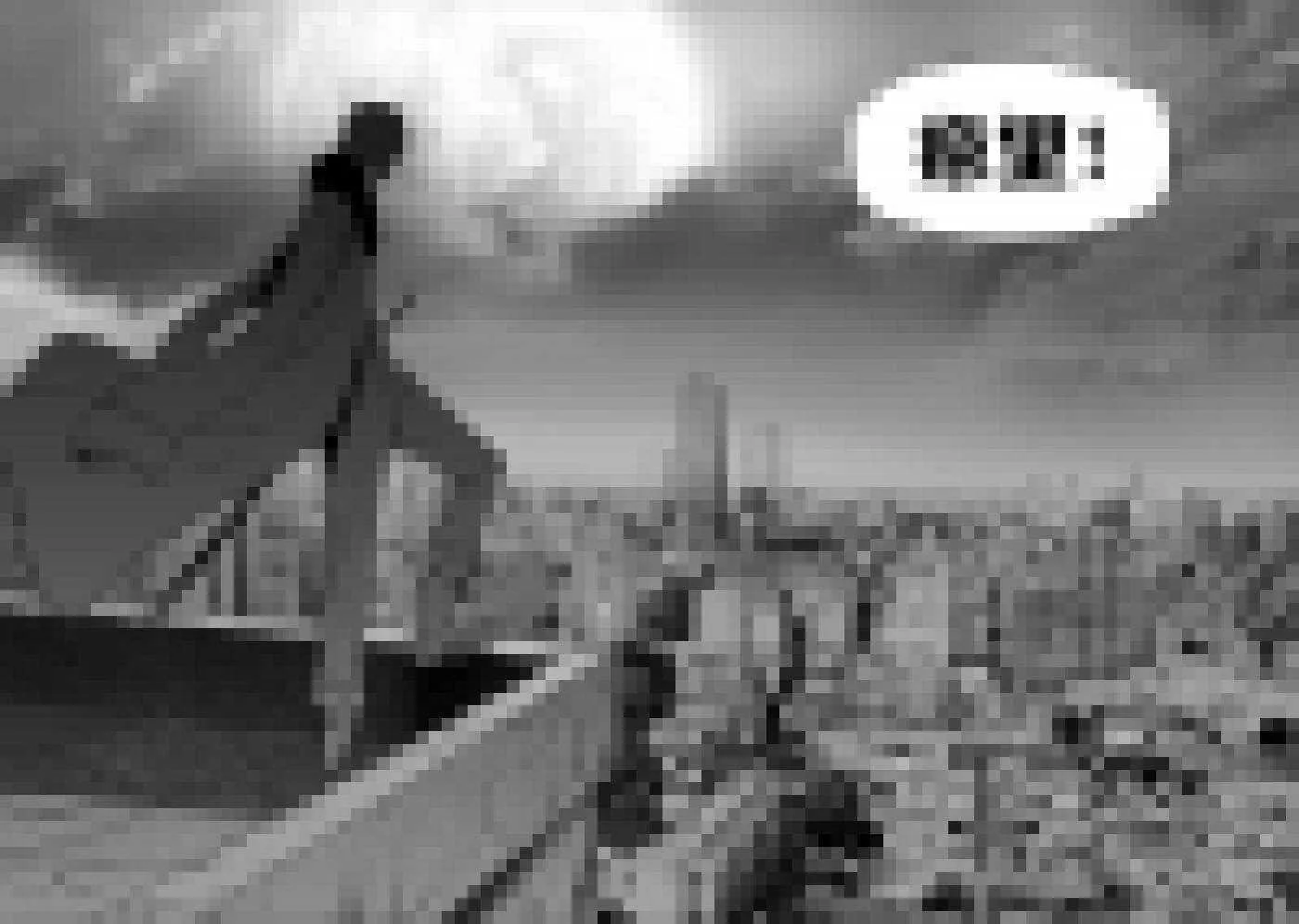 第161话 绝望 第12页