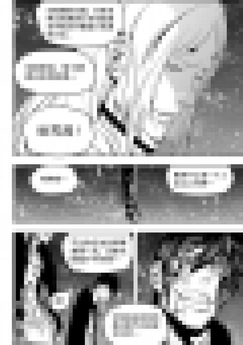 第183话 目的 第14页