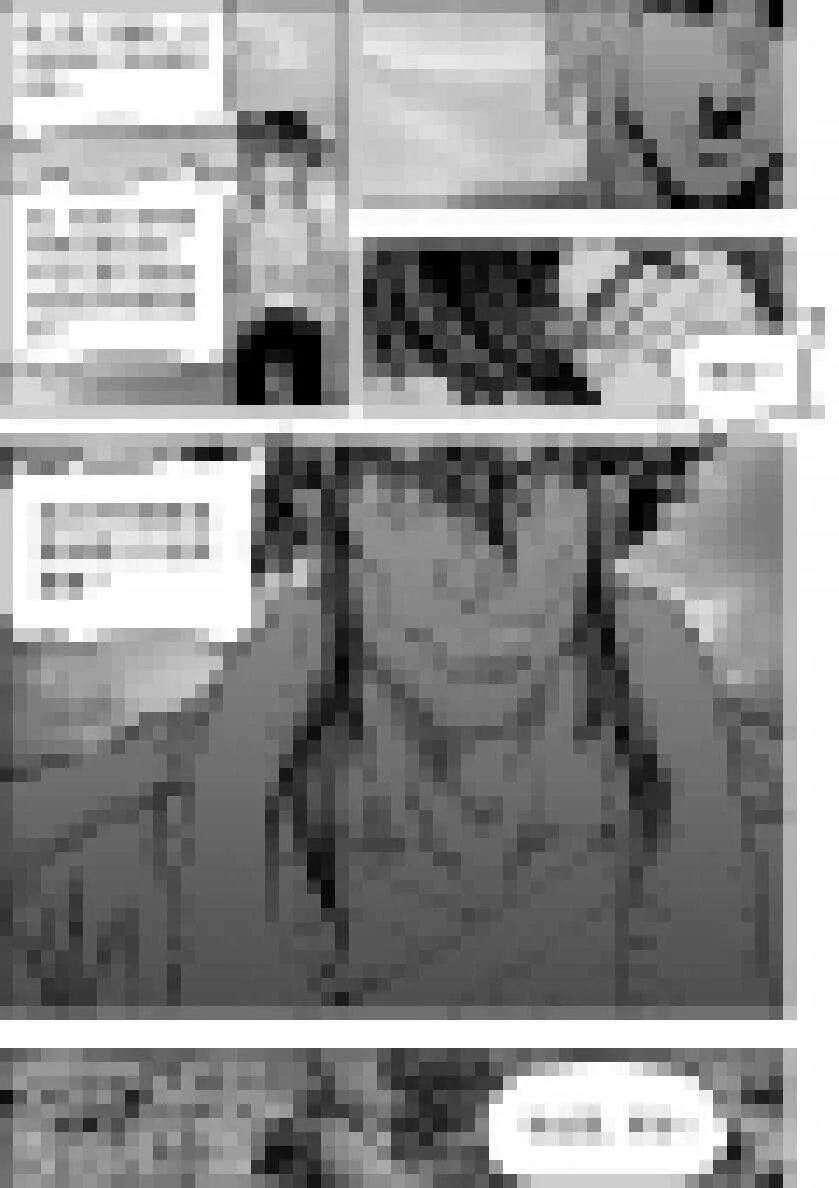 第188话 新世界的规则 我们说了算 第11页
