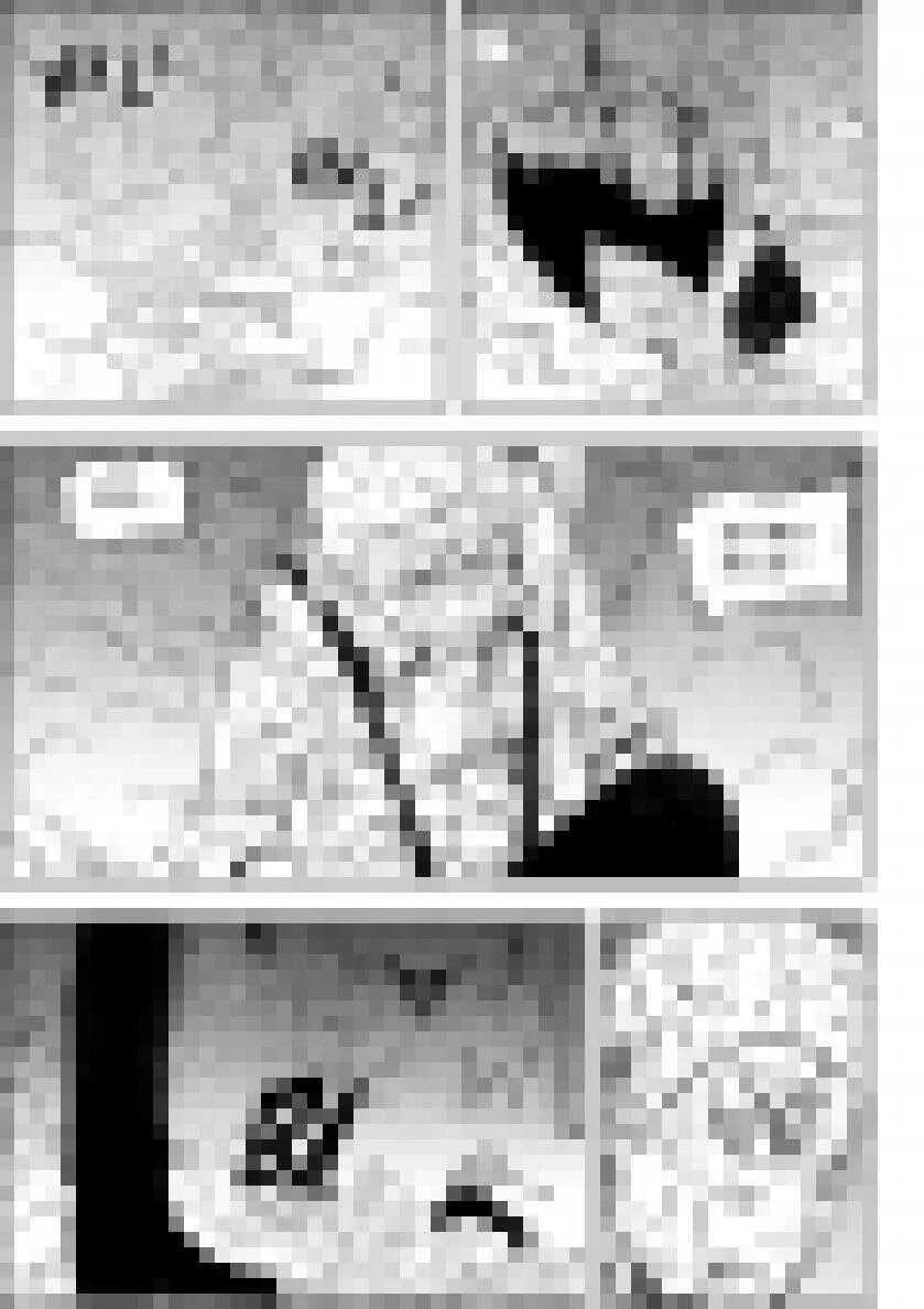 第188话 新世界的规则 我们说了算 第15页