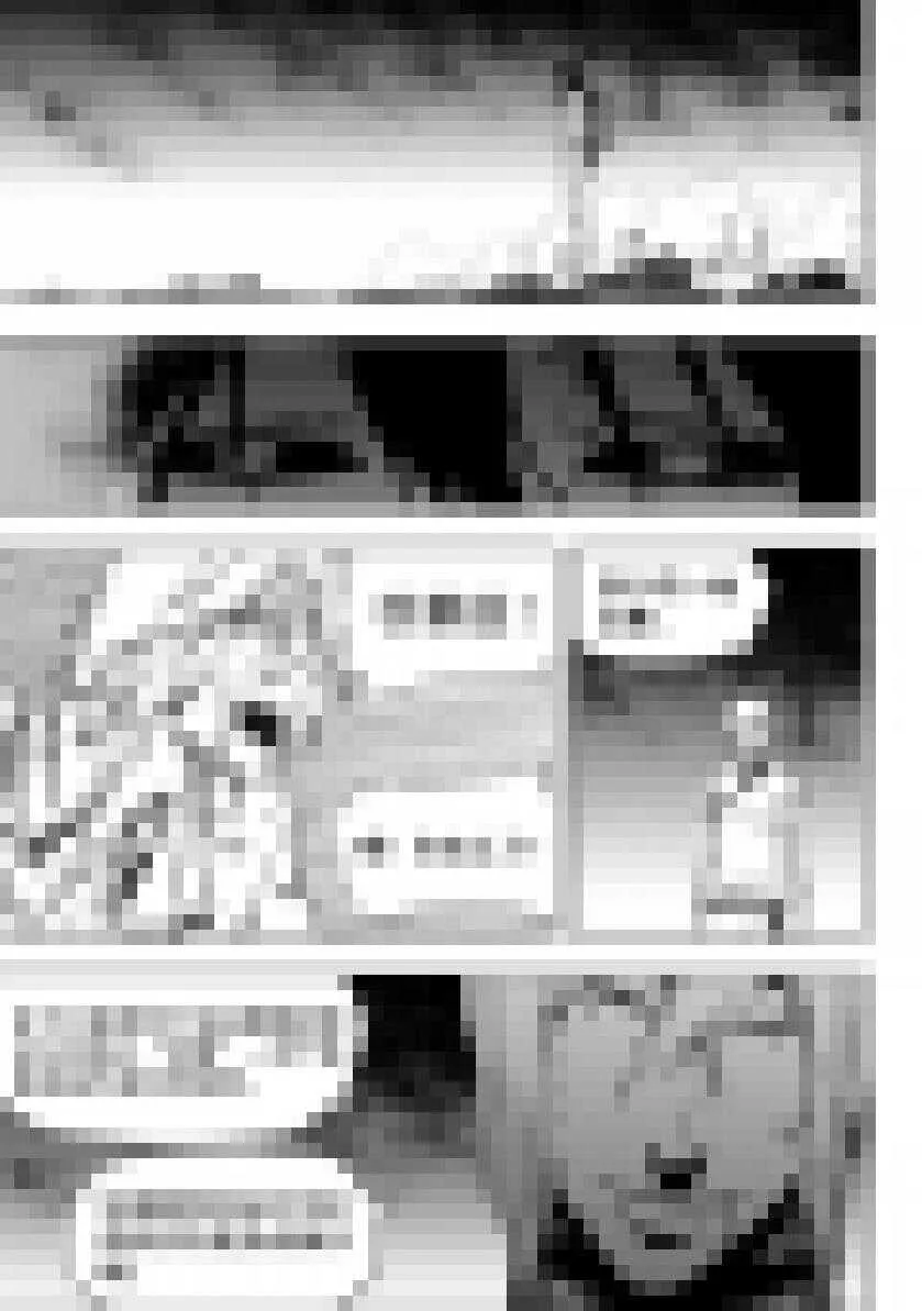 第200话 碾压 第2页