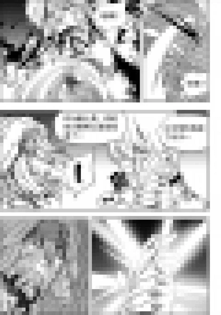 第200话 碾压 第8页