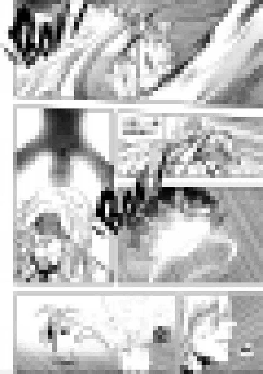 第200话 碾压 第14页