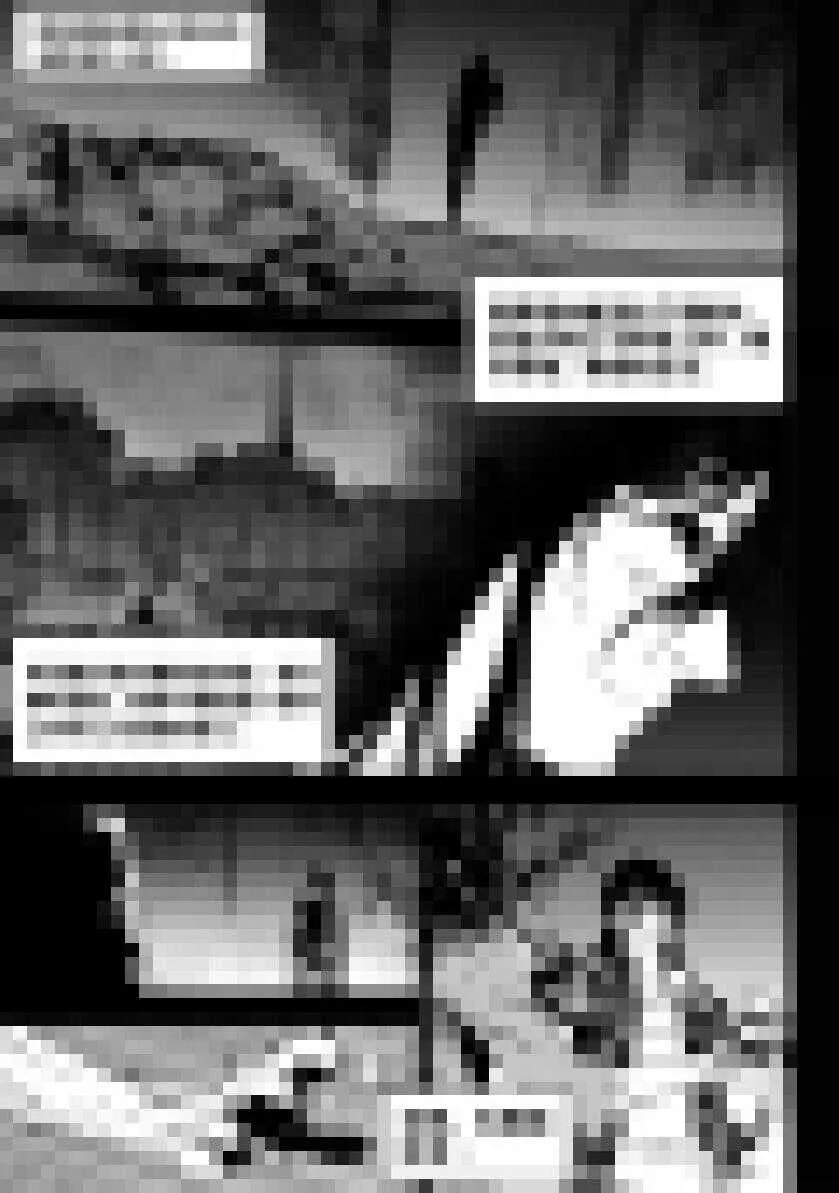 第202话 守护 第2页