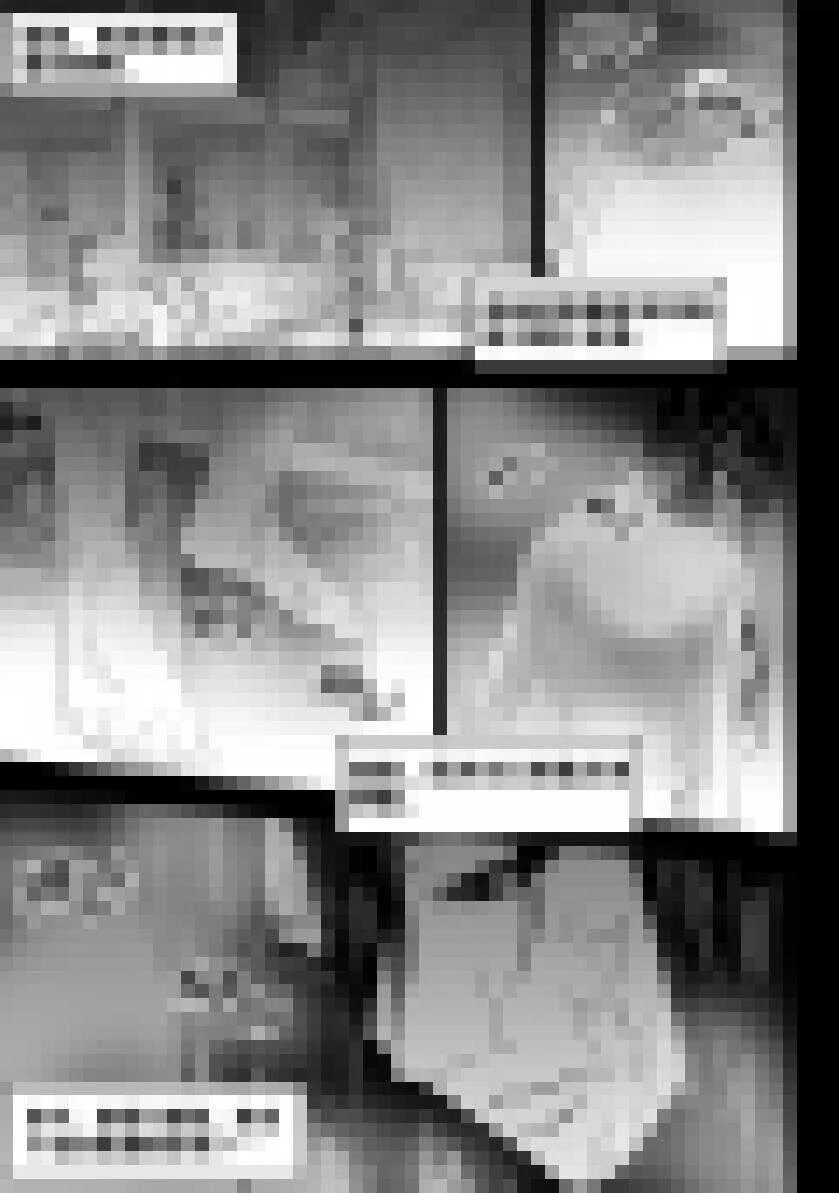 第202话 守护 第8页