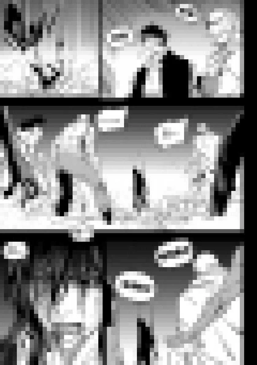第202话 守护 第15页