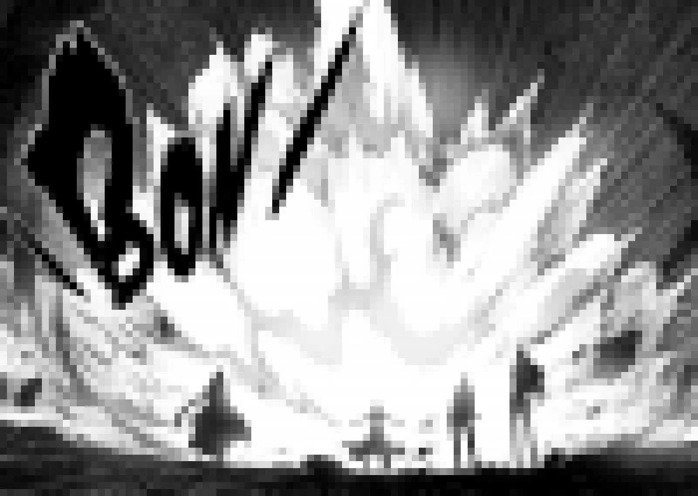 第202话 守护 第22页