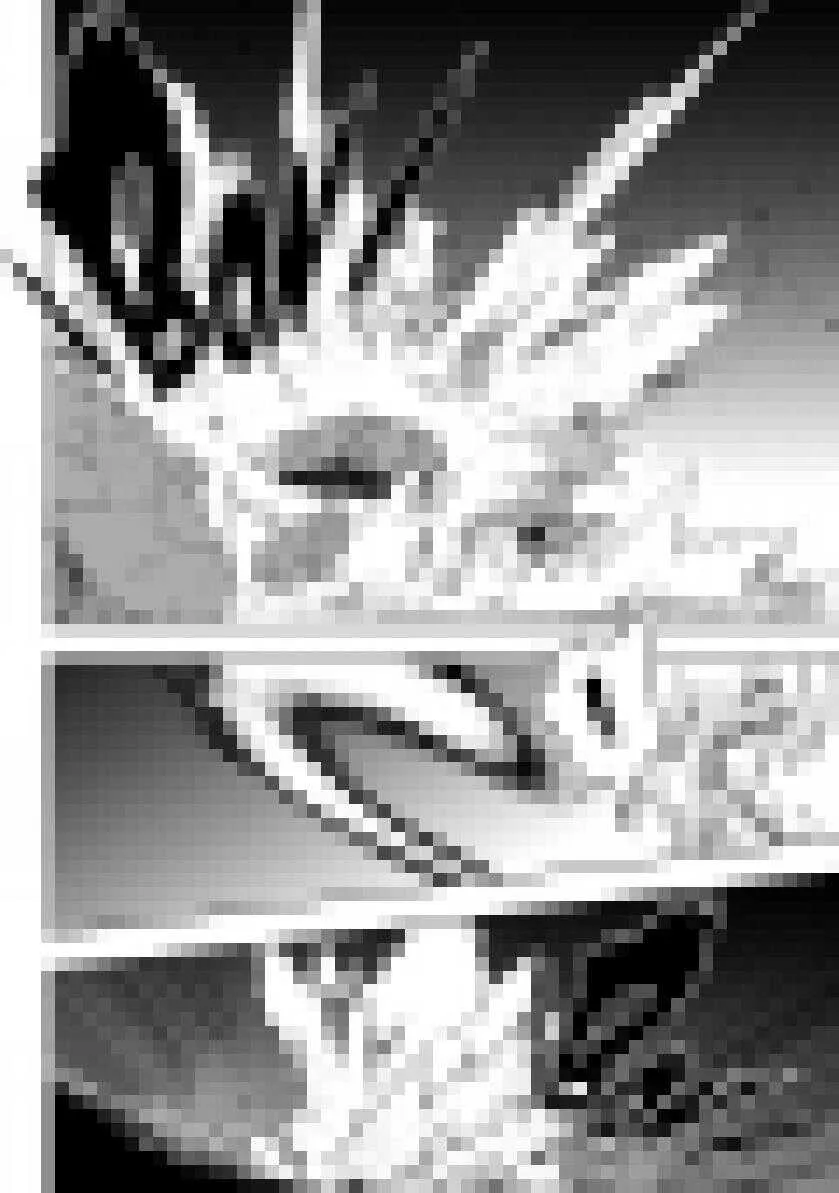 第202话 守护 第39页