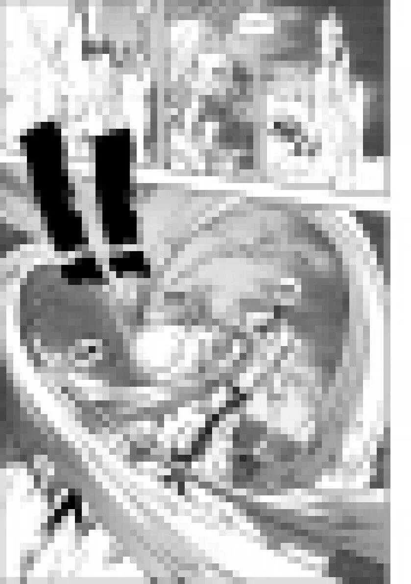 第202话 守护 第43页