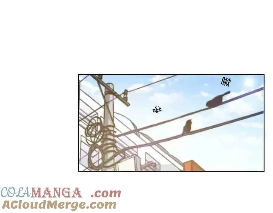 第49话 第17页