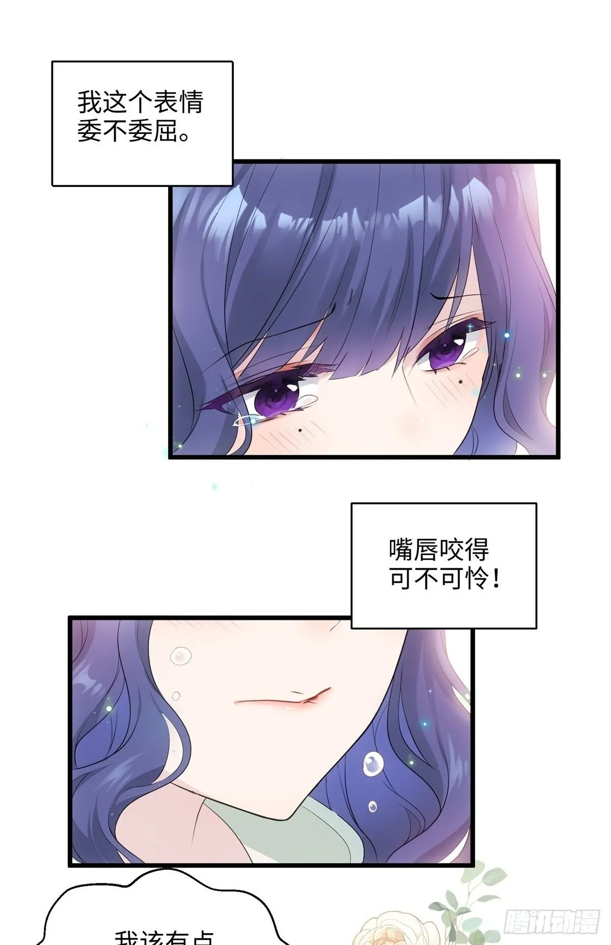 03 惹人怜爱的小茶花~ 第2页