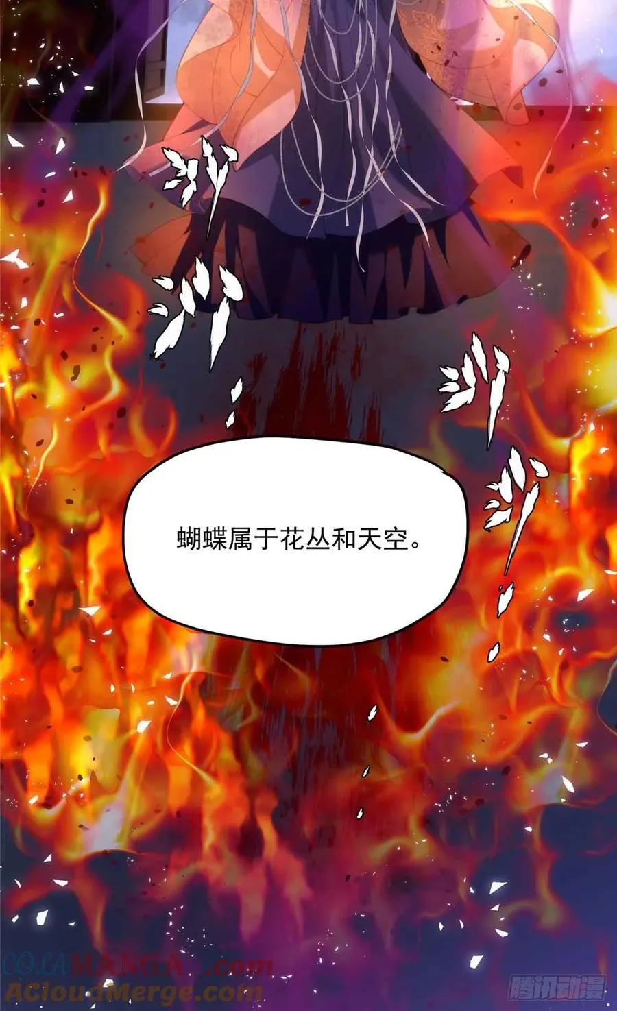 107 蝴蝶属于花丛和天空 第28页