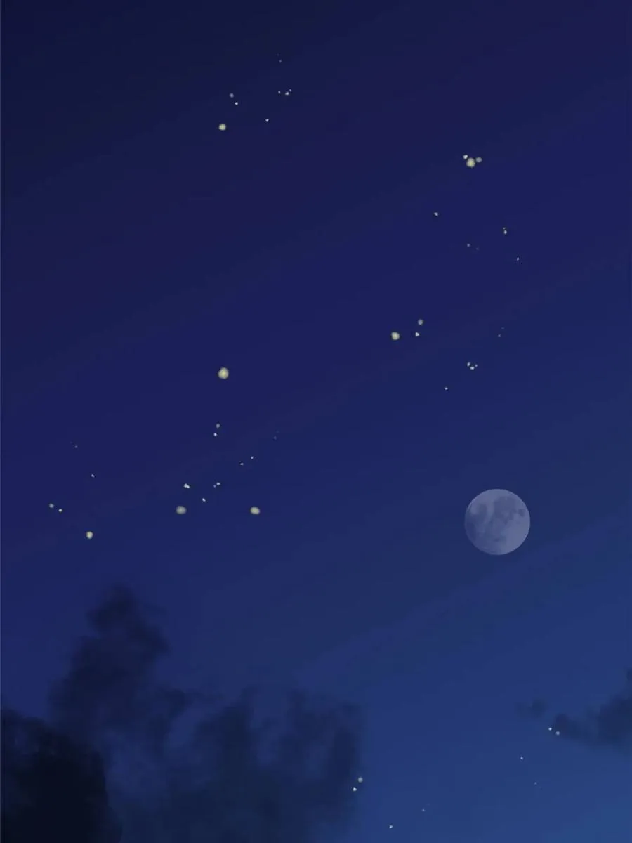 第216话 第41页