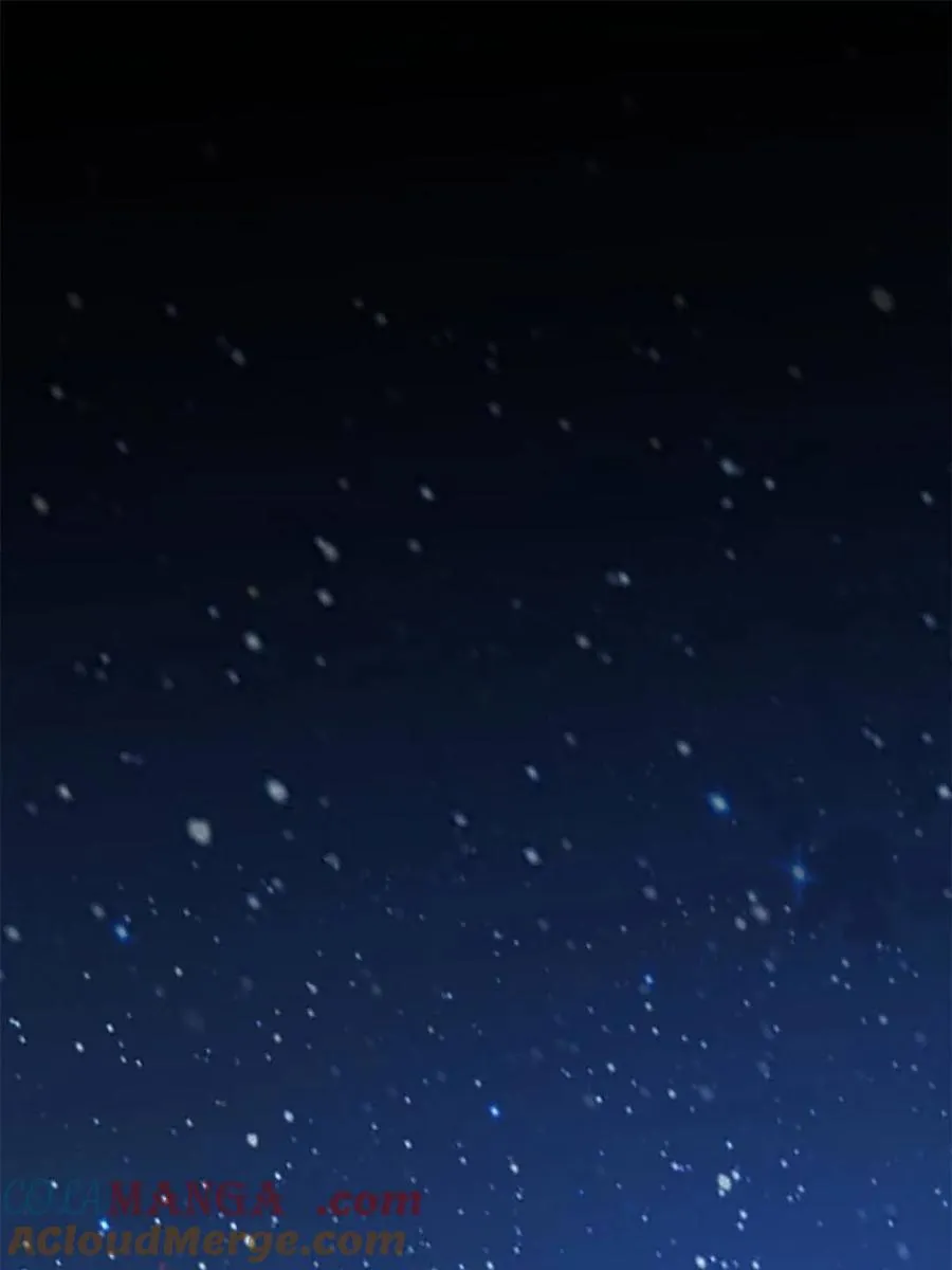 第217话 第4页