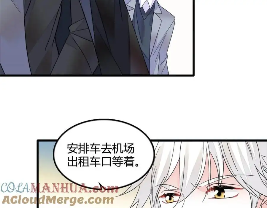 47 主动邀约 第19页
