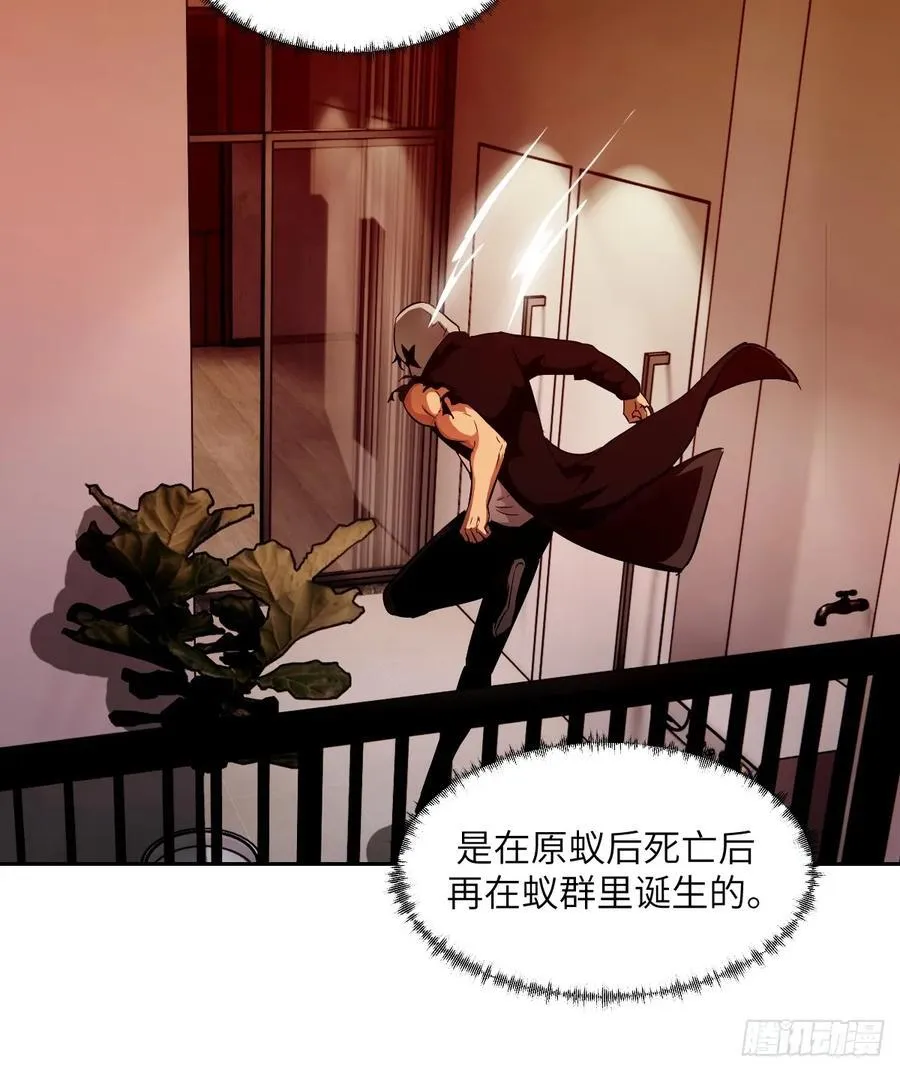 051 新的王！ 第60页