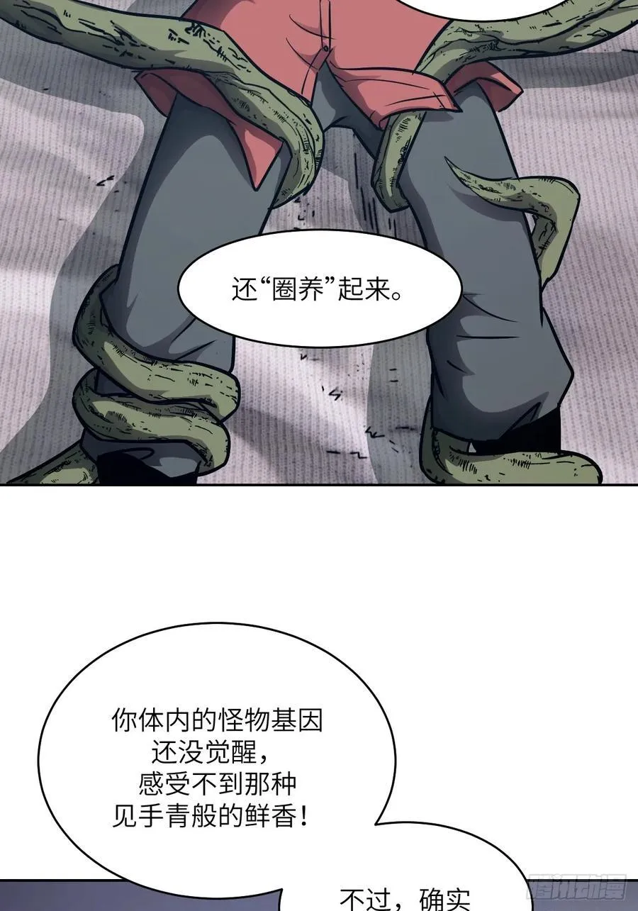 086 50%磁星 第2页