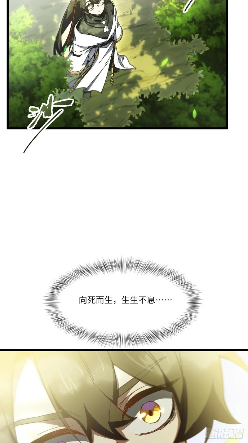 139.轮回圣灵 第46页