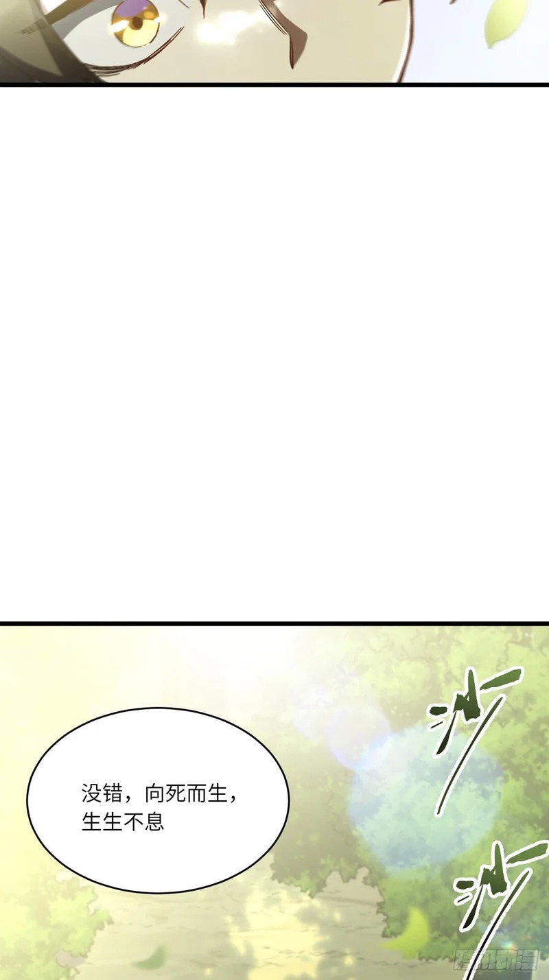 139.轮回圣灵 第47页